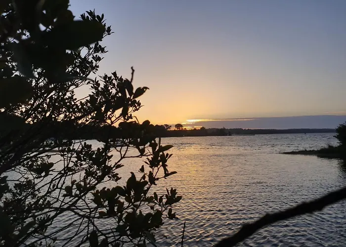 Familiale Bassin Arcachon 別荘 サル